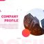 پروژه آماده افتر افکت company profile