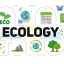 پروژه آماده افتر افکت Ecology & Energy