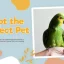 پروژه آماده افتر افکت تبلیغات حیوانات خانگی