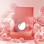 پروژه آماده افتر افکت لوگو Rose Box Valentine